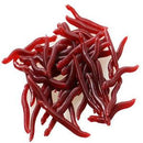 50 Pcs Soft Red Earthworm Fishing Bait Worm Lures Crankbaits Hooks Tackle Baits