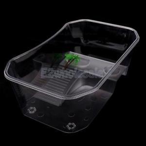 Reptile Tortoise Turtle Vivarium Tank Fish Aquarium with Coconut Tree White