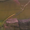 Stainless Steel Fishing Lure Saver Lure Rescue Tackle/30m PE Line