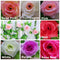 7 Colors Simulation Flower Rattan Artificial Rose Wisteria Home Wedding Party Decor